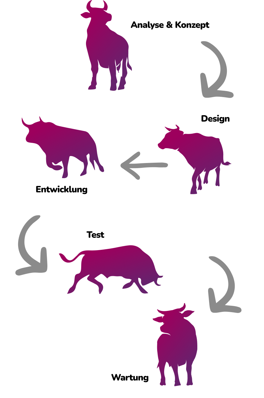 Fünf violette Stier-Silhouetten stellen Arbeitsschritte dar: Analyse & Konzept (oben rechts), Design, Entwicklung, Test und Wartung (unten rechts). Graue Pfeile verbinden jeden Schritt im Uhrzeigersinn. Der Text ist auf Deutsch.