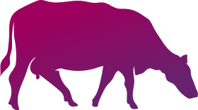 Die Silhouette einer grasenden Kuh, gefärbt in einem Farbverlauf aus lila und rosa Tönen, präsentiert modernes Grafikdesign auf hellem Hintergrund.