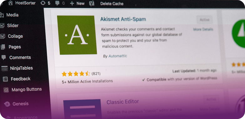 Ein Computerbildschirm zeigt das WordPress-Dashboard mit dem hervorgehobenen Akismet Anti-Spam-Plugin, das Details, Sternebewertungen und aktive Installationen anzeigt - ein wesentlicher Bestandteil einer effektiven WordPress-Wartung. Andere Plugin-Optionen sind in der linken Seitenleiste aufgeführt.
