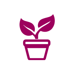 Ein einfaches magentafarbenes Symbol einer Topfpflanze mit zwei Blättern, zentriert auf einem weißen, kreisförmigen Hintergrund, symbolisiert Domäne und Hosting-Wachstum.